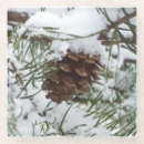 Search for cone barware Snow
