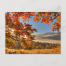 Search for fall scene postcards Woods