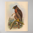 Search for breast art Bird