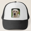 Search for golden retriever hats Puppies
