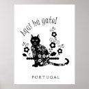 Search for gato posters Cat