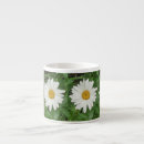 Search for green daisy mugs Flower