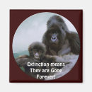Search for primate magnets Gorilla