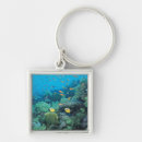 Search for fish swimming key rings Sealife creatures