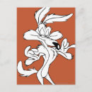 Search for wile coyote postcards Loney toons coyote