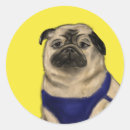 Search for pug dogs stickers Adorable