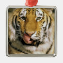 Search for tongue christmas tree decorations Animal