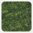 Search for wild grass stickers Green