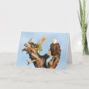 Search for bald eagle christmas cards Wildlife