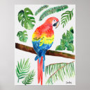 Search for ara art Tropical