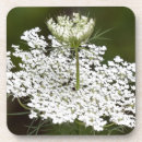 Search for anne barware Flower
