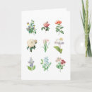 Search for vintage botanical cards Illustration