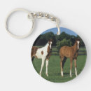 Search for foal key rings Standing