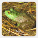 Search for no bull stickers Photography