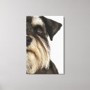 Search for shot canvas prints Front view