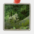 Search for growth christmas tree decorations Nature