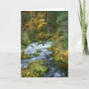 Search for cascade cards Foliage