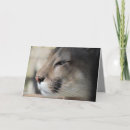 Search for florida birthday cards Nature