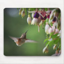 Search for hummingbird mousepads Flower