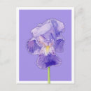 Search for purple iris postcards Green
