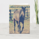 Search for rural photography Amish