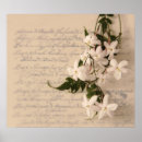 Search for jasmine flowers art Leaves