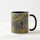 Search for copper coloured mugs Autumn