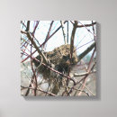 Search for nest canvas prints Nature