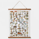 Search for vintage mushroom Dark academia