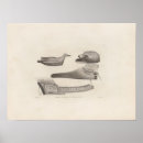 Search for etching posters Bird