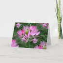 Search for sclerosis cards Flowers