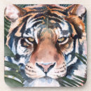 Search for jungle coasters Flowers