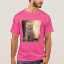 Search for munchkin tshirts Kitten