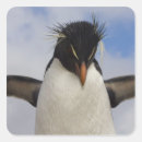 Search for seabird stickers Pelagic