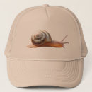 Search for bugs shell Shells