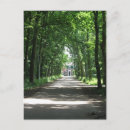 Search for dutch postcards Wood
