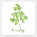 Search for parsley stickers Herb