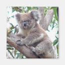 Search for furry magnets Australian