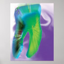 Search for tooth posters Teeth