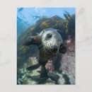 Search for beach baby postcards Ocean