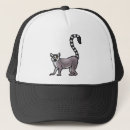 Search for ring tailed Wild animal