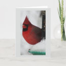 Search for male christmas cards Snow