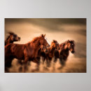 Search for mane posters Superstock