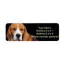Search for beagle return address labels Brown