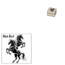 Search for horse rubber stamps Animal