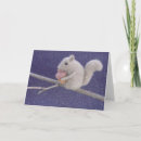 Search for acorn christmas cards Squirrel