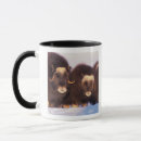 Search for alaska wolf mugs Wildlife