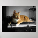 Search for secretary posters Humour