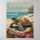 Search for galapagos posters Wildlife