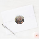 Search for stylish photo stickers Thank you